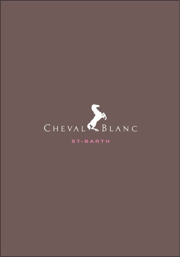 Image result for 2-Bedroom Beach Suite @ Cheval Blanc St-Barth Isle de France