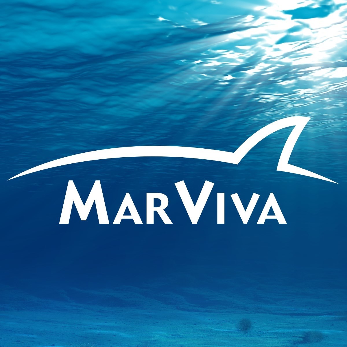 Image result for Fundacion MarViva