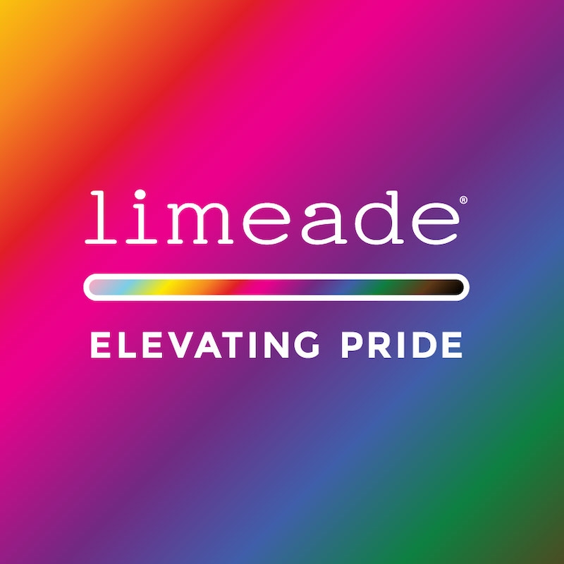 Image result for Limeade