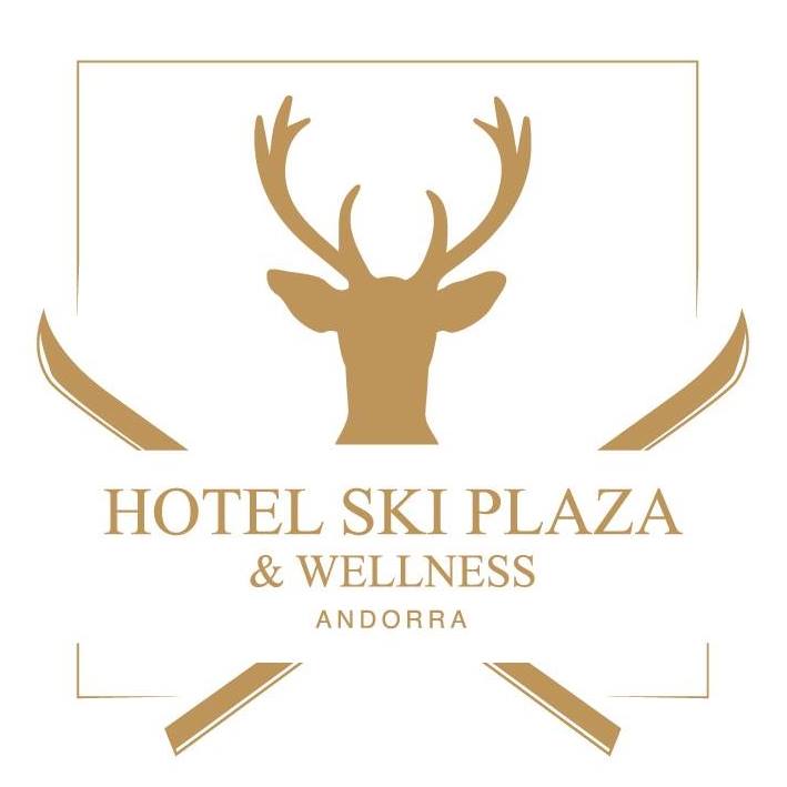 Image result for Hotel Ski Plaza and Wellness