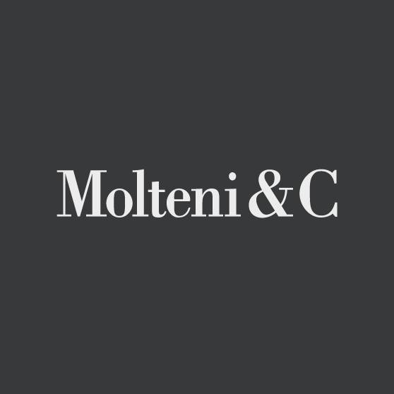 Image result for Molteni and C