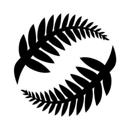 Image result for New Zealand Football