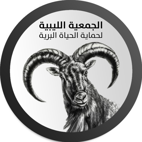 Image result for Libyan Wildlife Trust