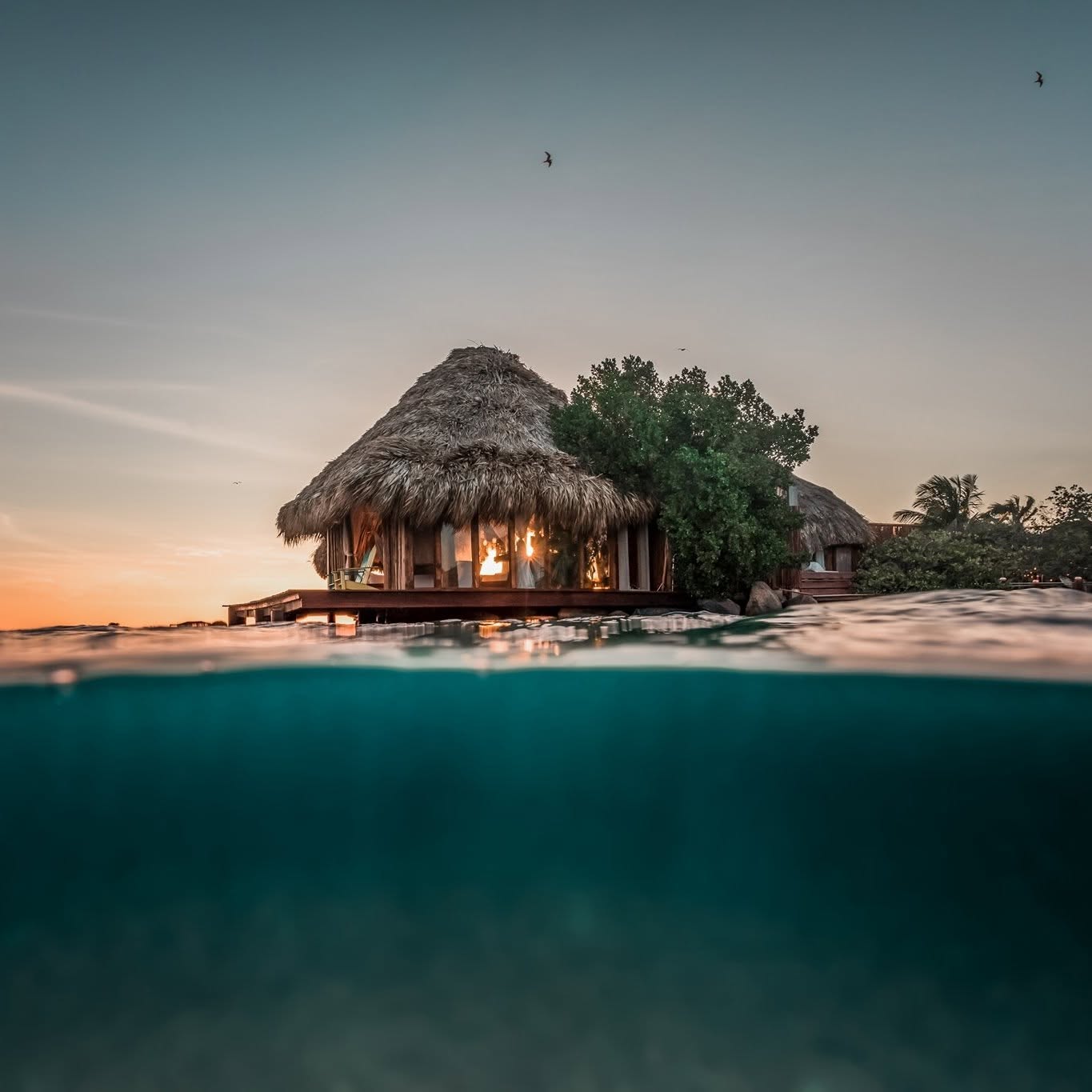 Image result for Aruba Ocean Villas