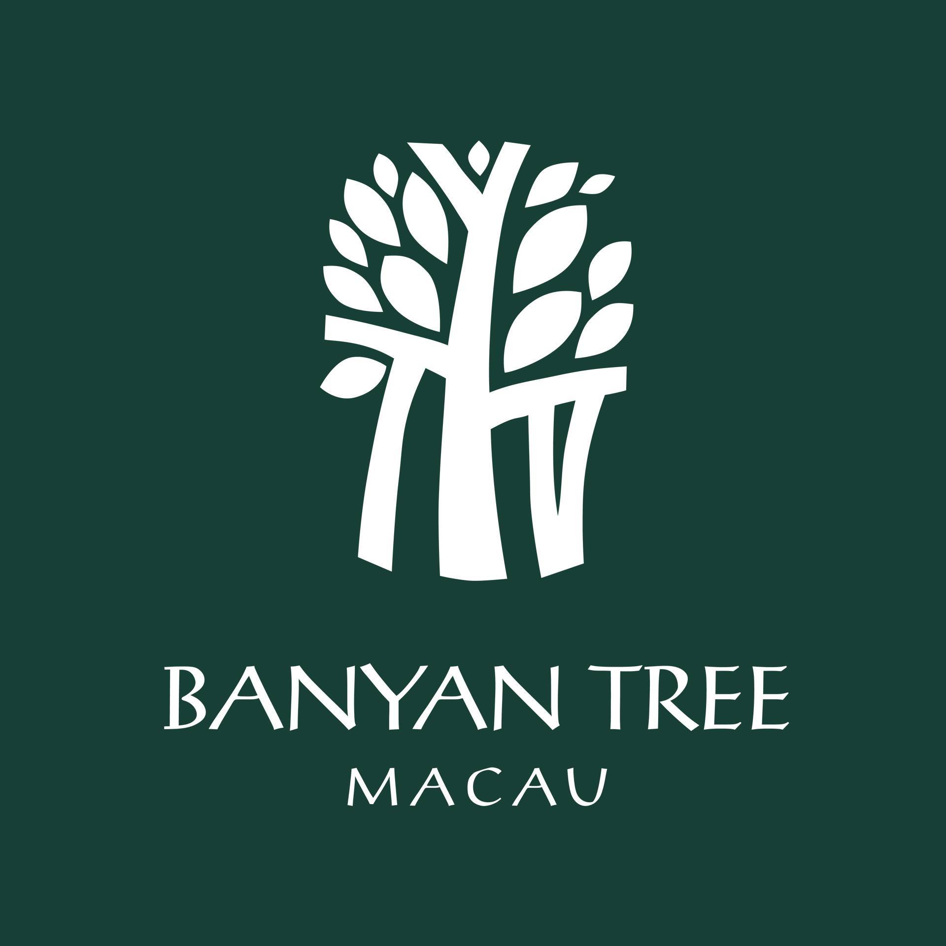 Image result for Banyan Tree Spa at Banyan Tree Macau