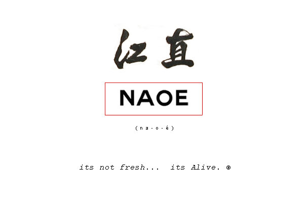 Image result for NAOE