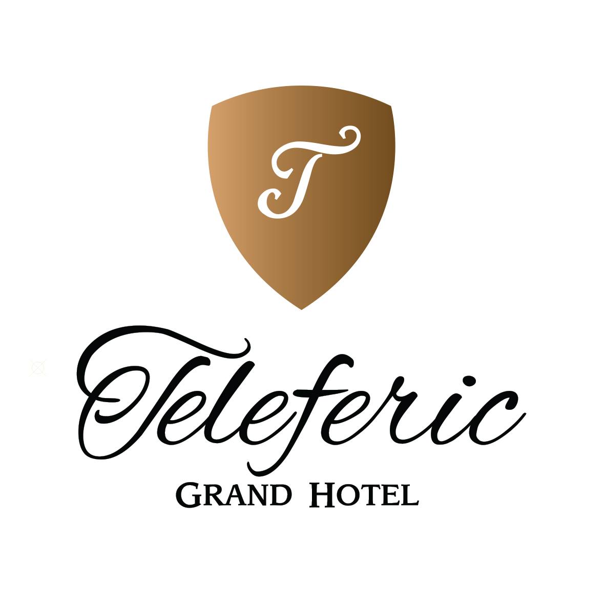 Image result for Teleferic Grand Hotel