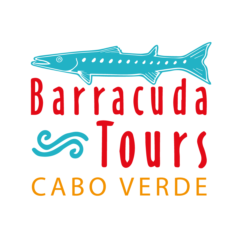 Image result for Barracuda Tours