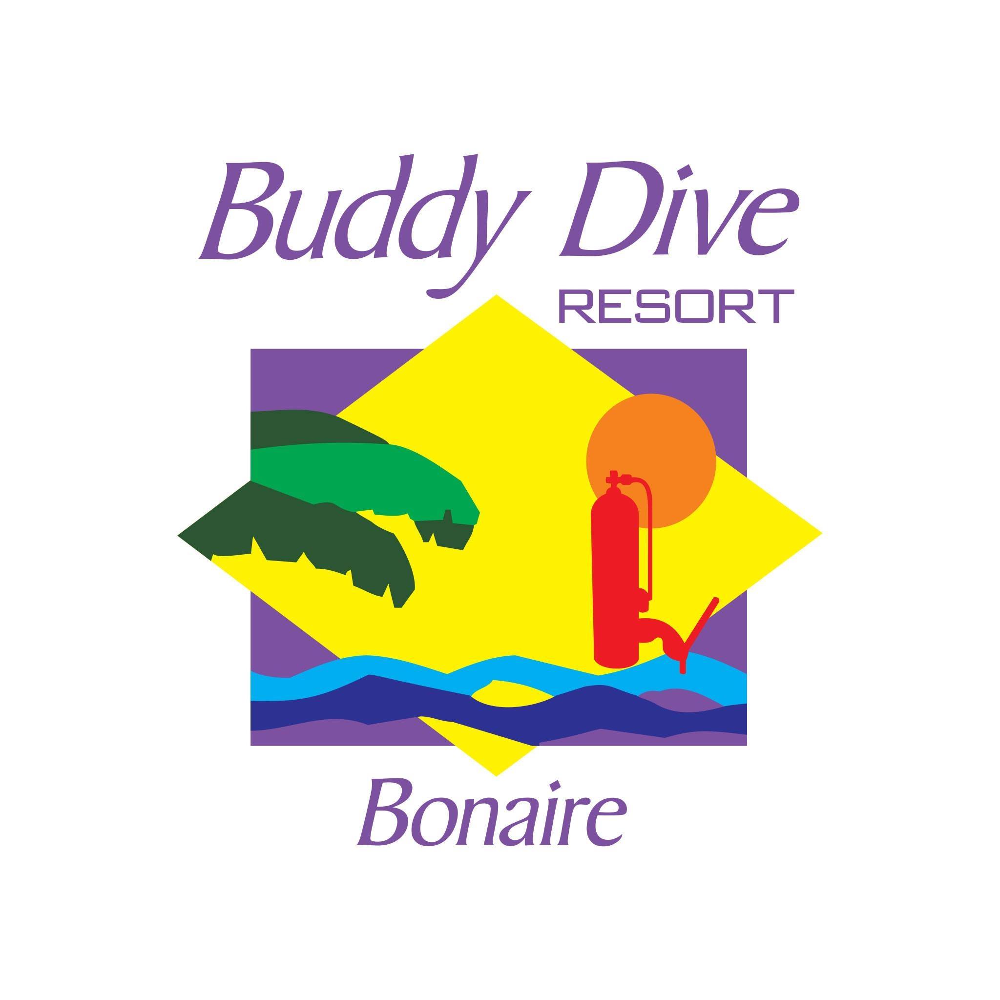 Image result for Buddy Dive Resort