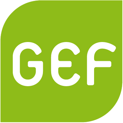 Image result for Green European Foundation (GEF)