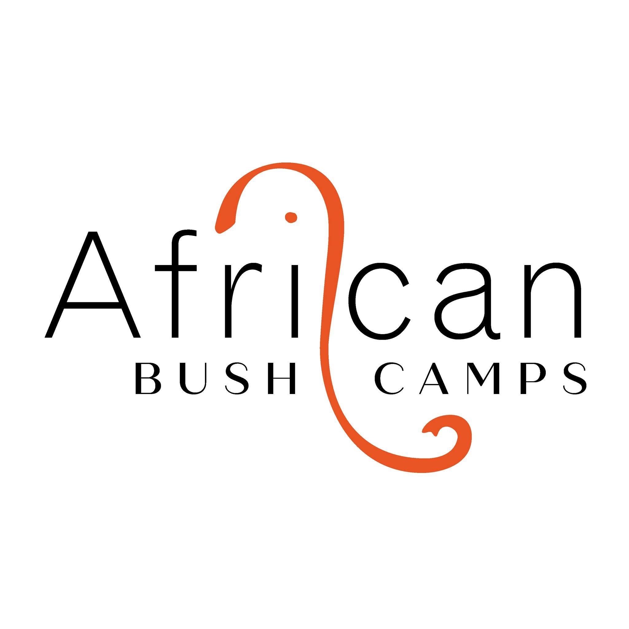 Image result for African Bush Camps