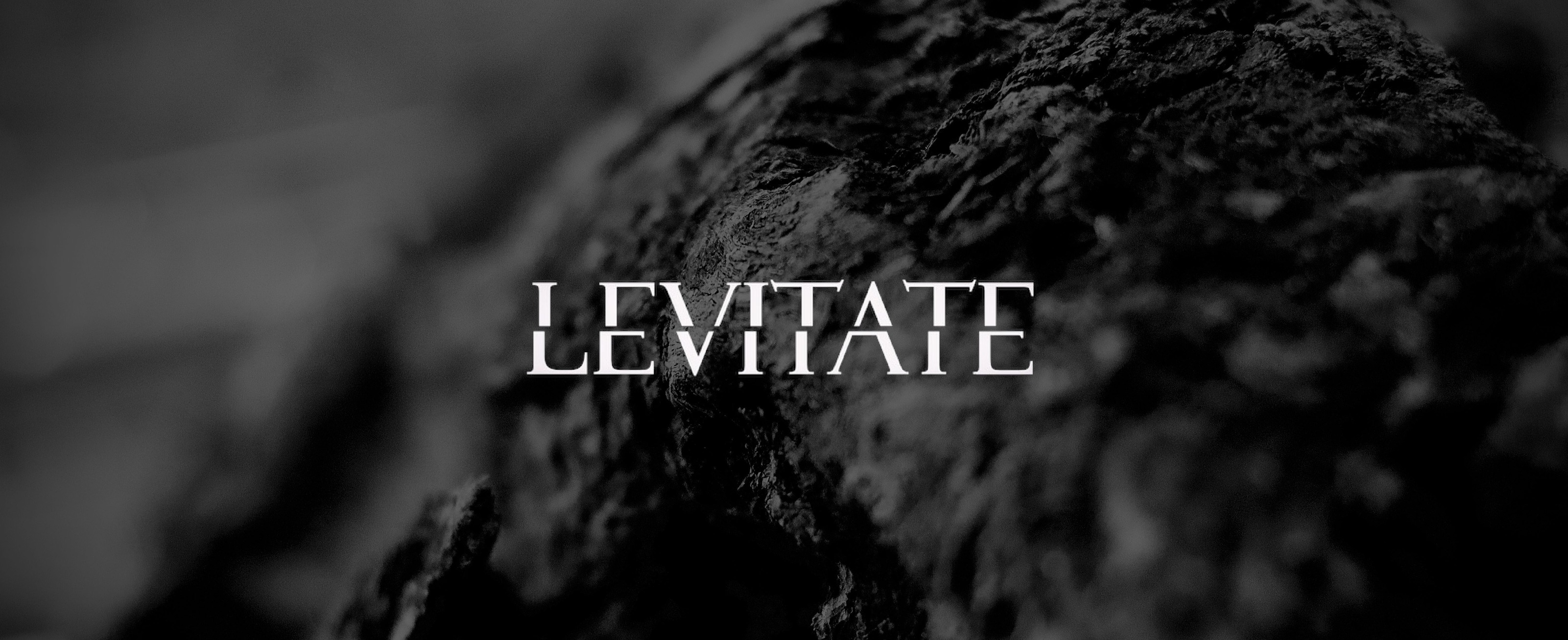 Image result for Levitate Restaurant