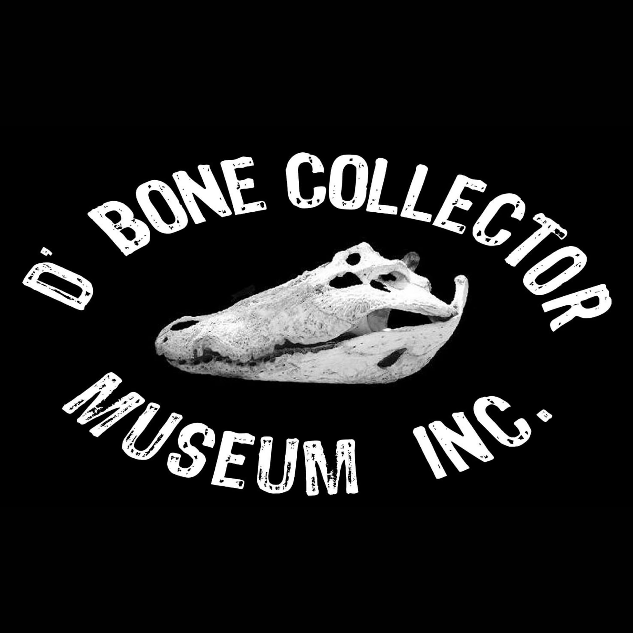 Image result for DBone Collector Museum