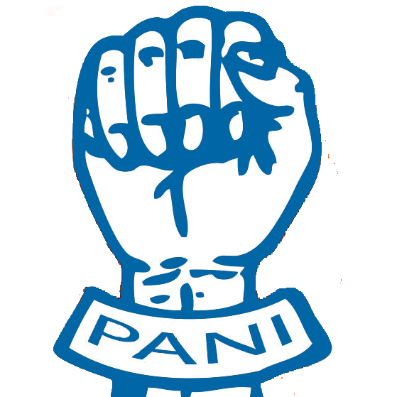 Image result for Peoples Action for National Integration (PANI)