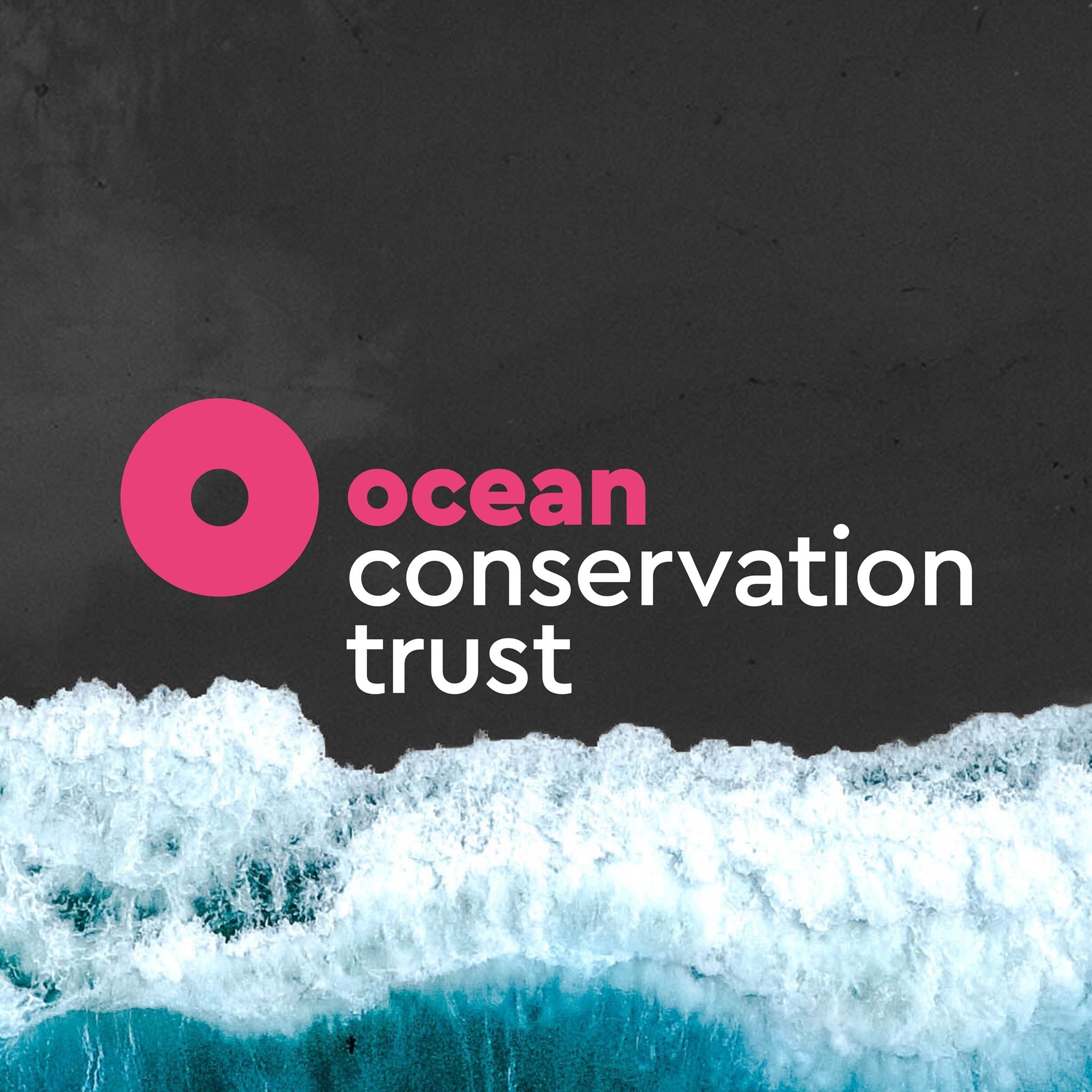 Image result for Ocean Conservation Trust