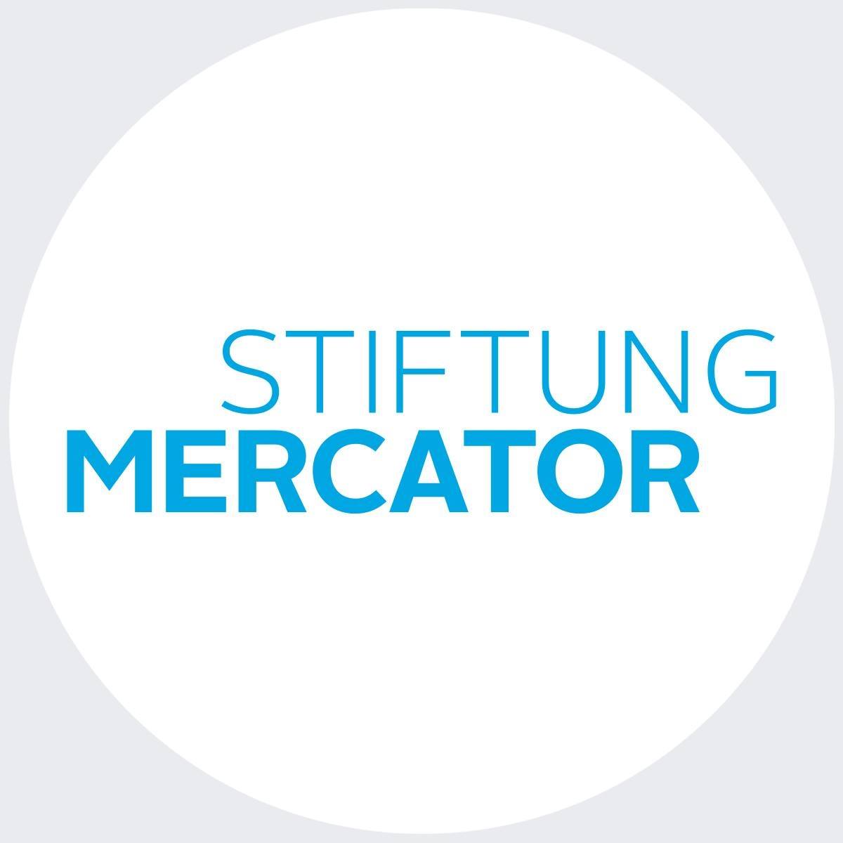 Image result for Stiftung Mercator Foundation