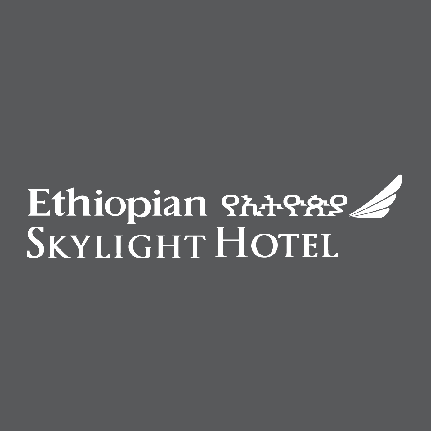 Image result for Ethiopian Skylight Hotel