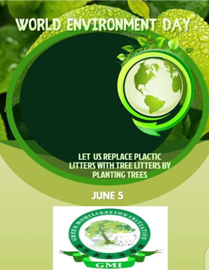 Image result for Green Mobilisation Initiative