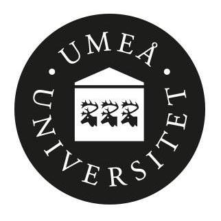 Image result for Umea University