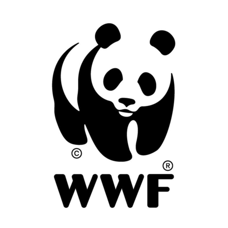 Image result for WWF (WWF)