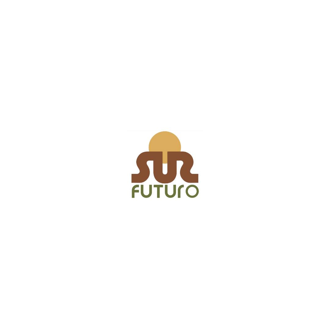 Image result for Fundación Sur Futuro, Inc. (SUR FUTURO)