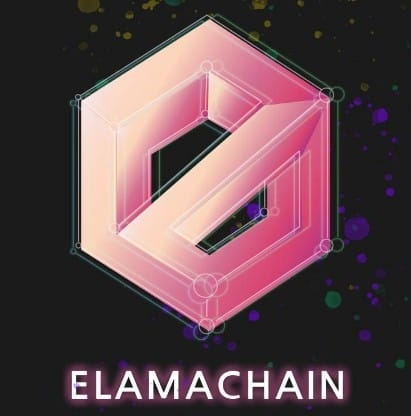 Image result for Elamachain