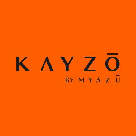 Image result for Kayzo by Myazu Riyadh