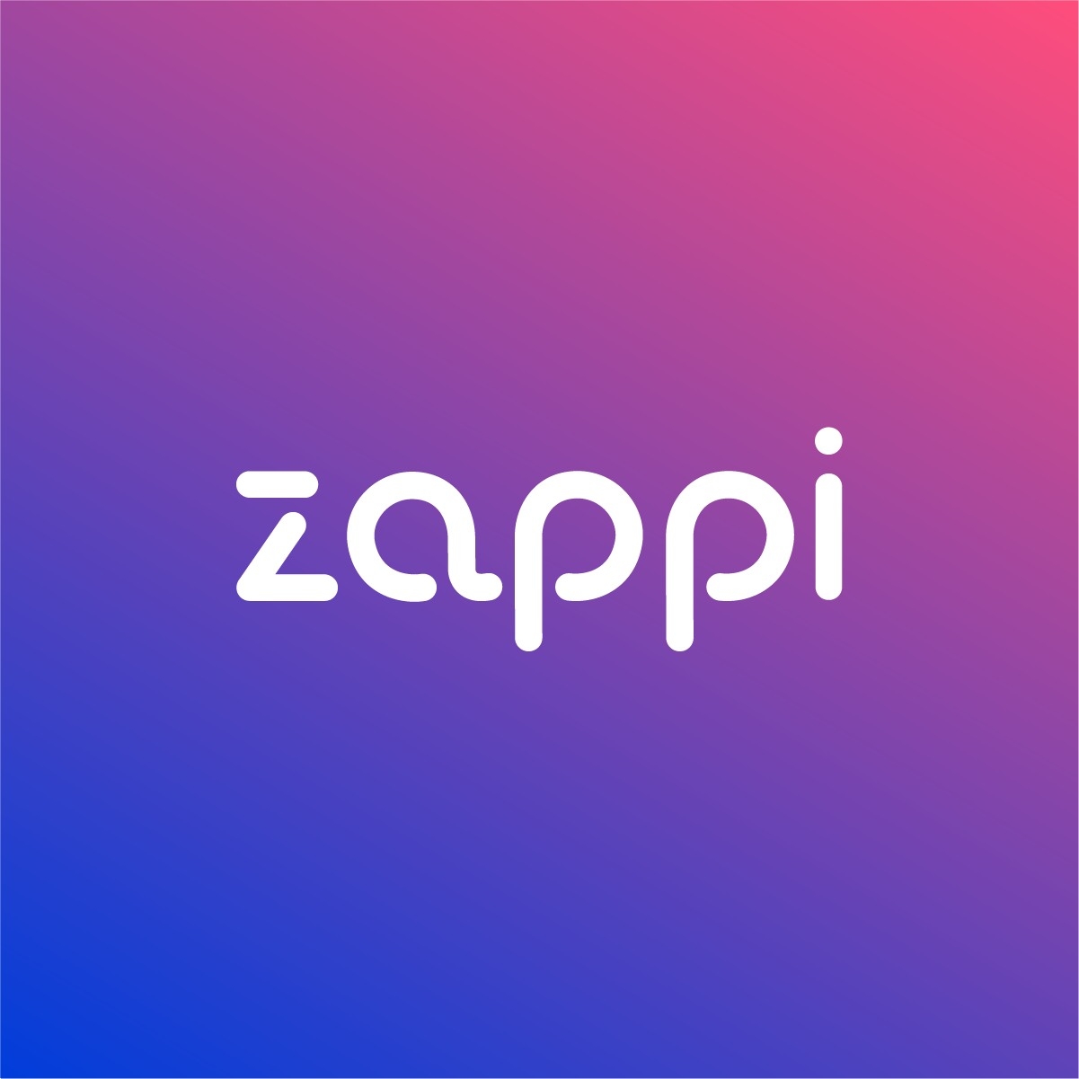 Image result for Zappi