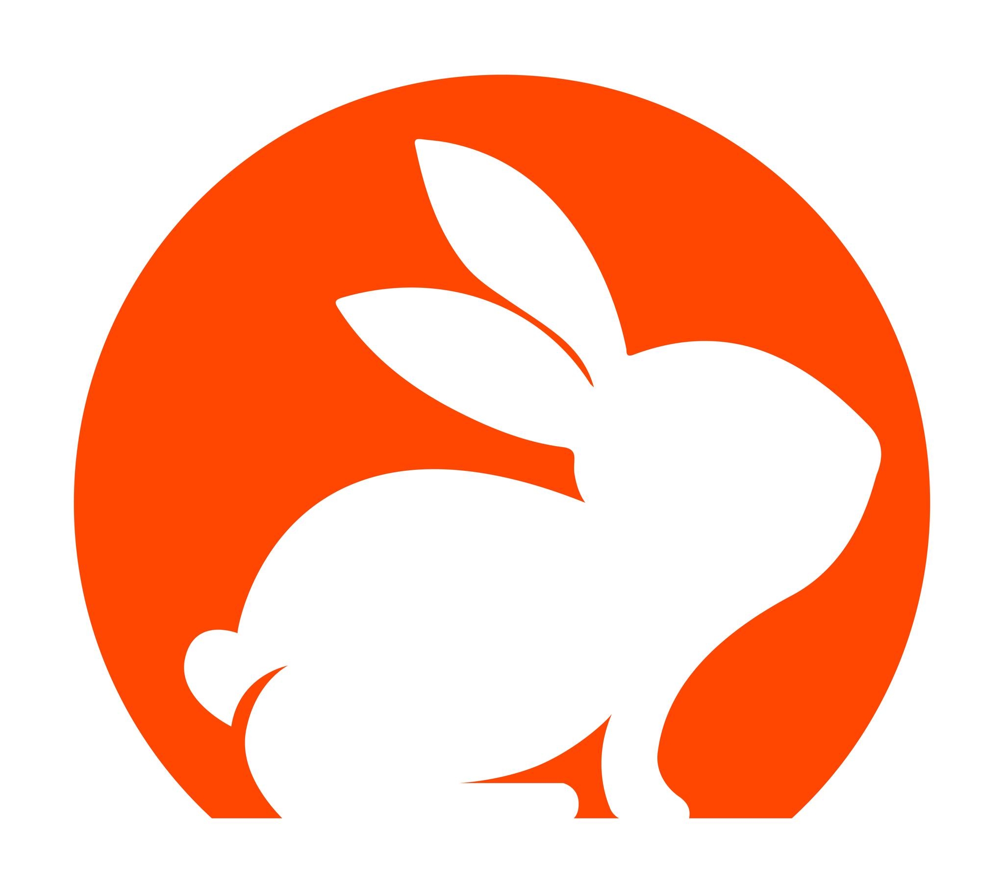 Image result for CodeRabbit