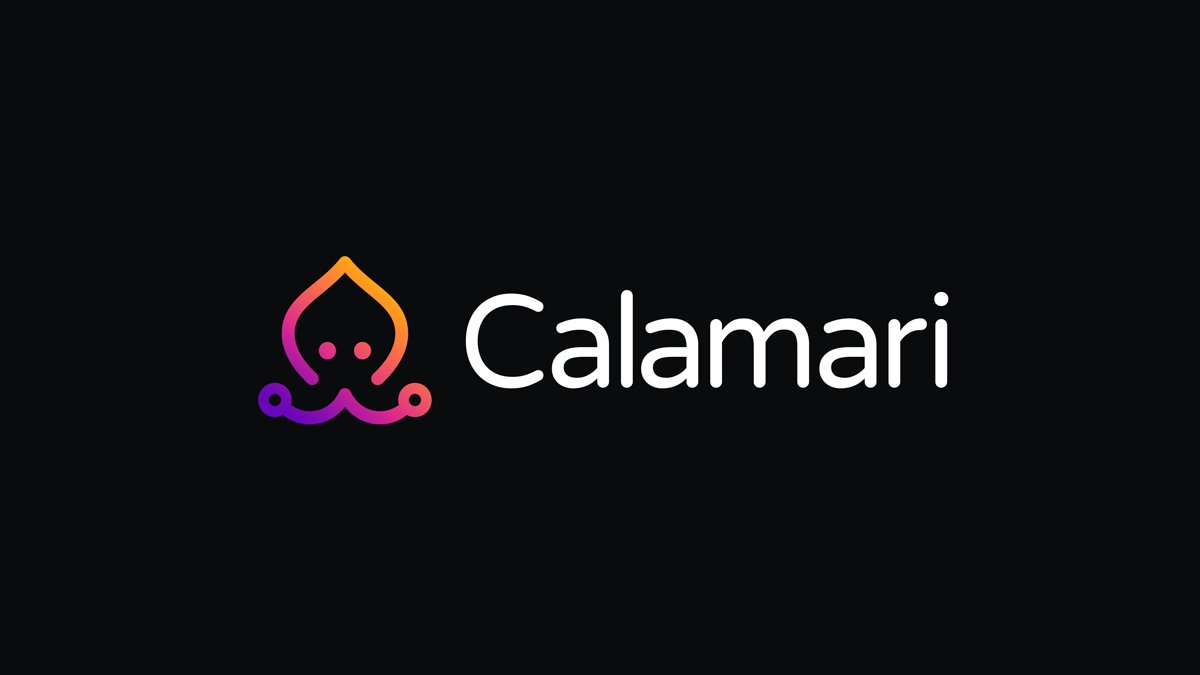 Image result for Calamari Network