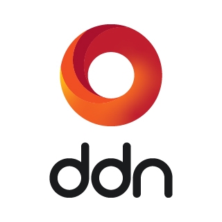 Image result for DDN