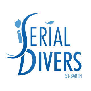 Image result for Serial Divers