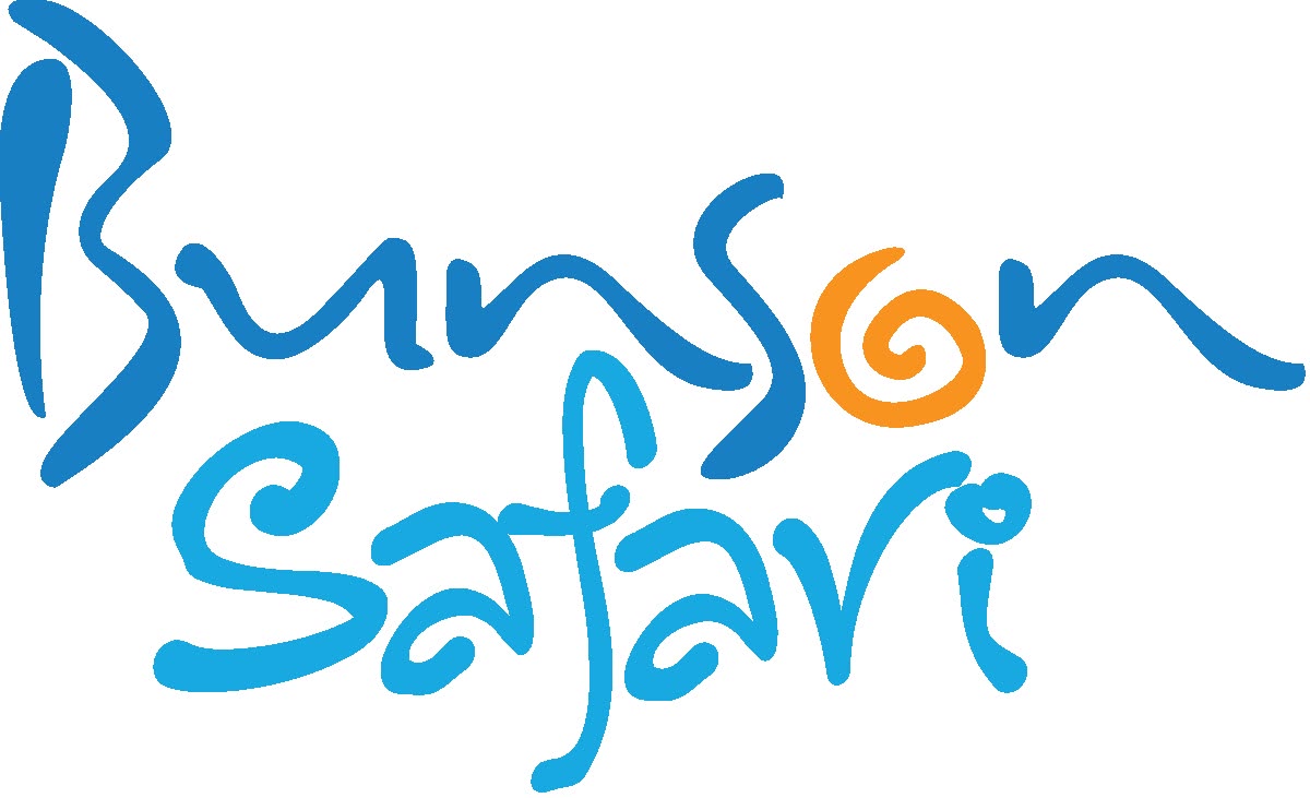 Image result for Bunson Travel