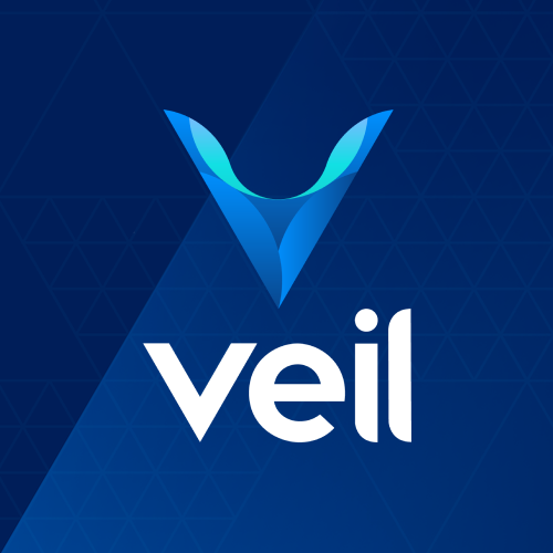 Image result for Veil