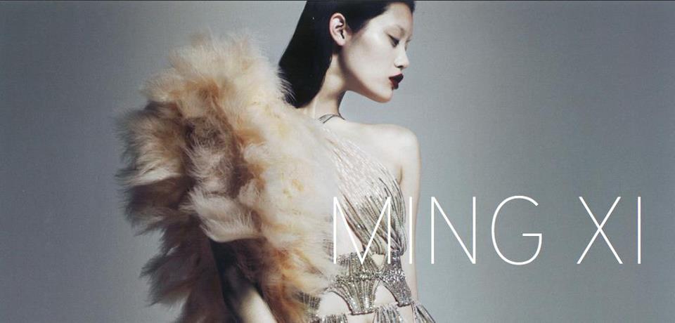 Image result for Ming Xi