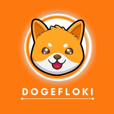 Image result for Doge Floki Coin