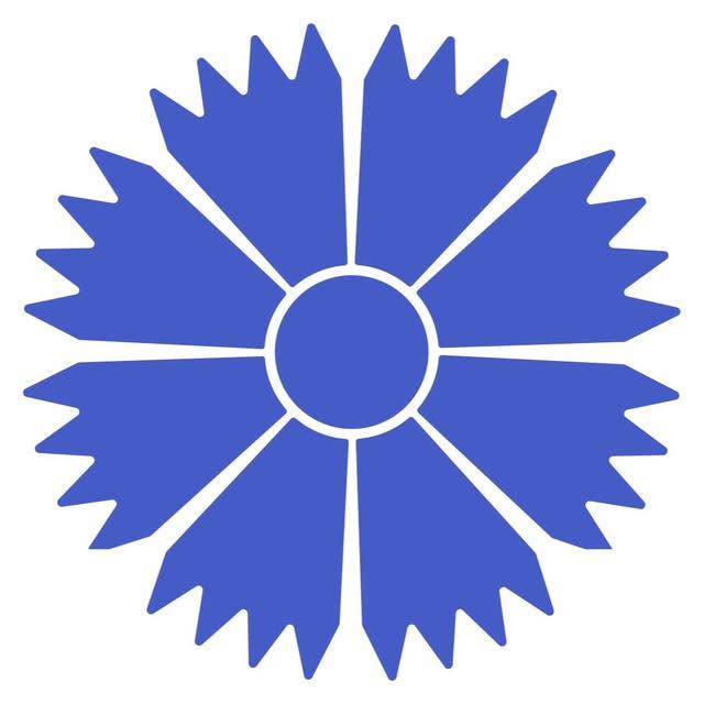 Belavia Belarusian Airlines