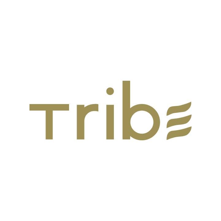Image result for Presidential Suite @ Tribe Hotel