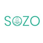 Image result for SOZO