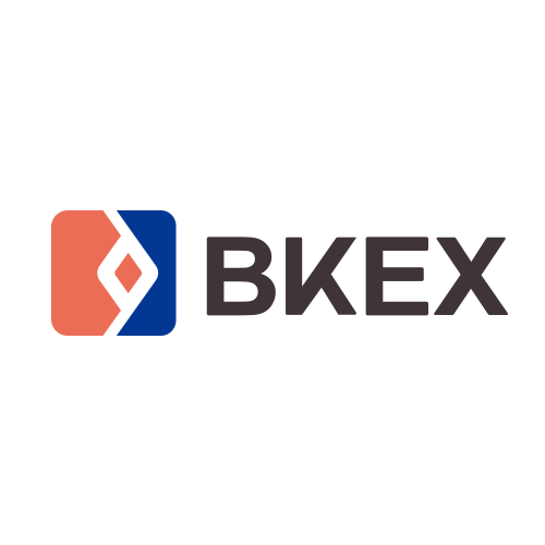 Image result for BKEX Chain