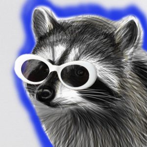 Image result for RaccoonEggs