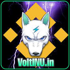 Image result for Volt Inu