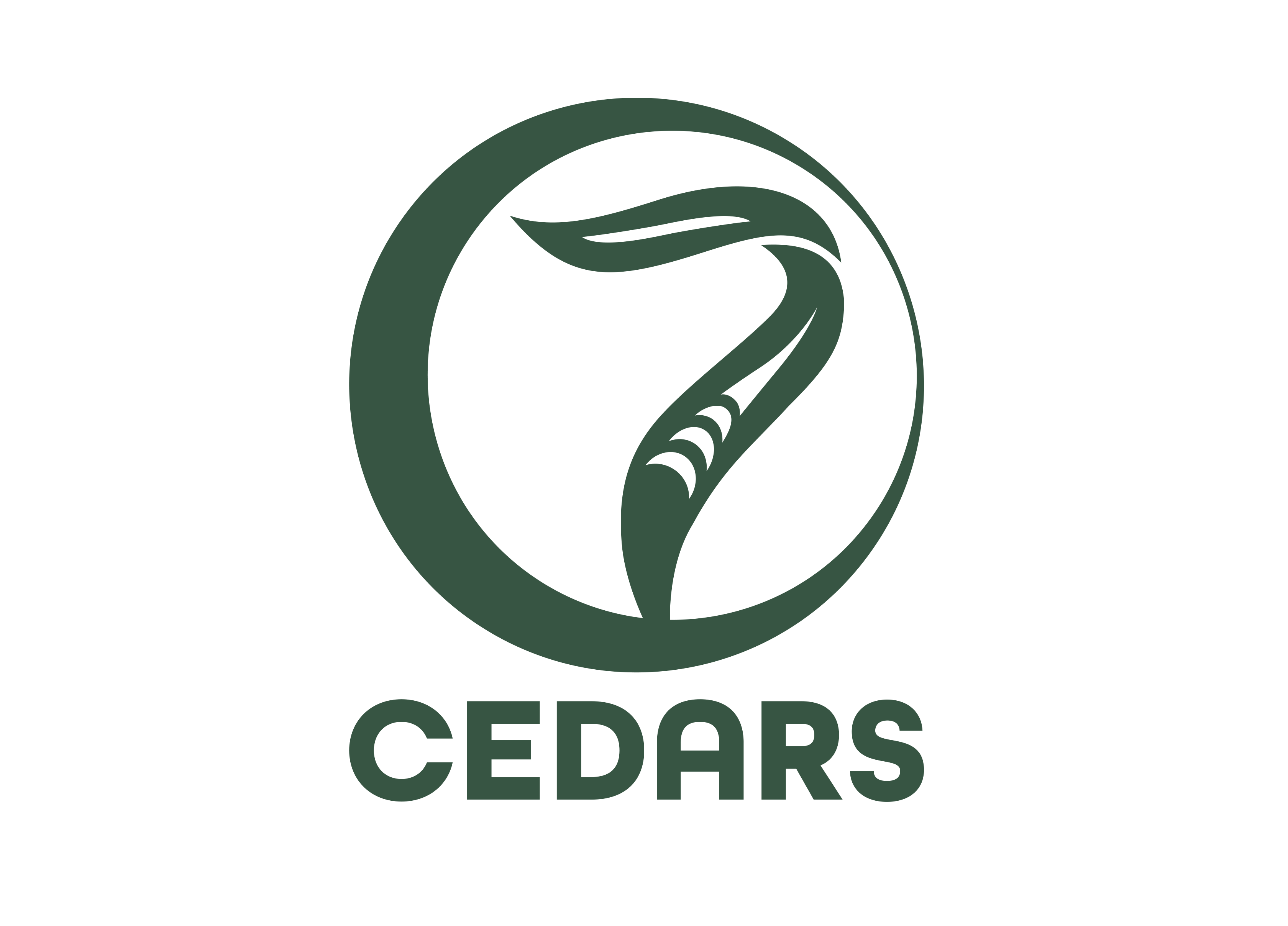 Image result for 7 Cedars Casino