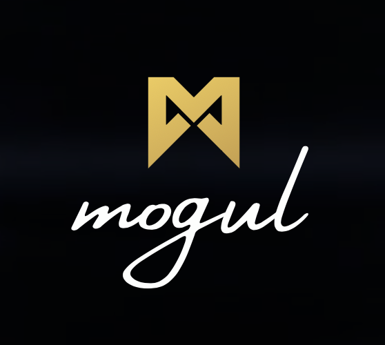 Image result for Mogul Productions