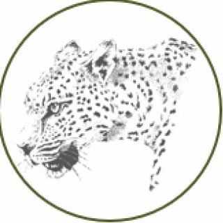Image result for Malilangwe Conservation Trust
