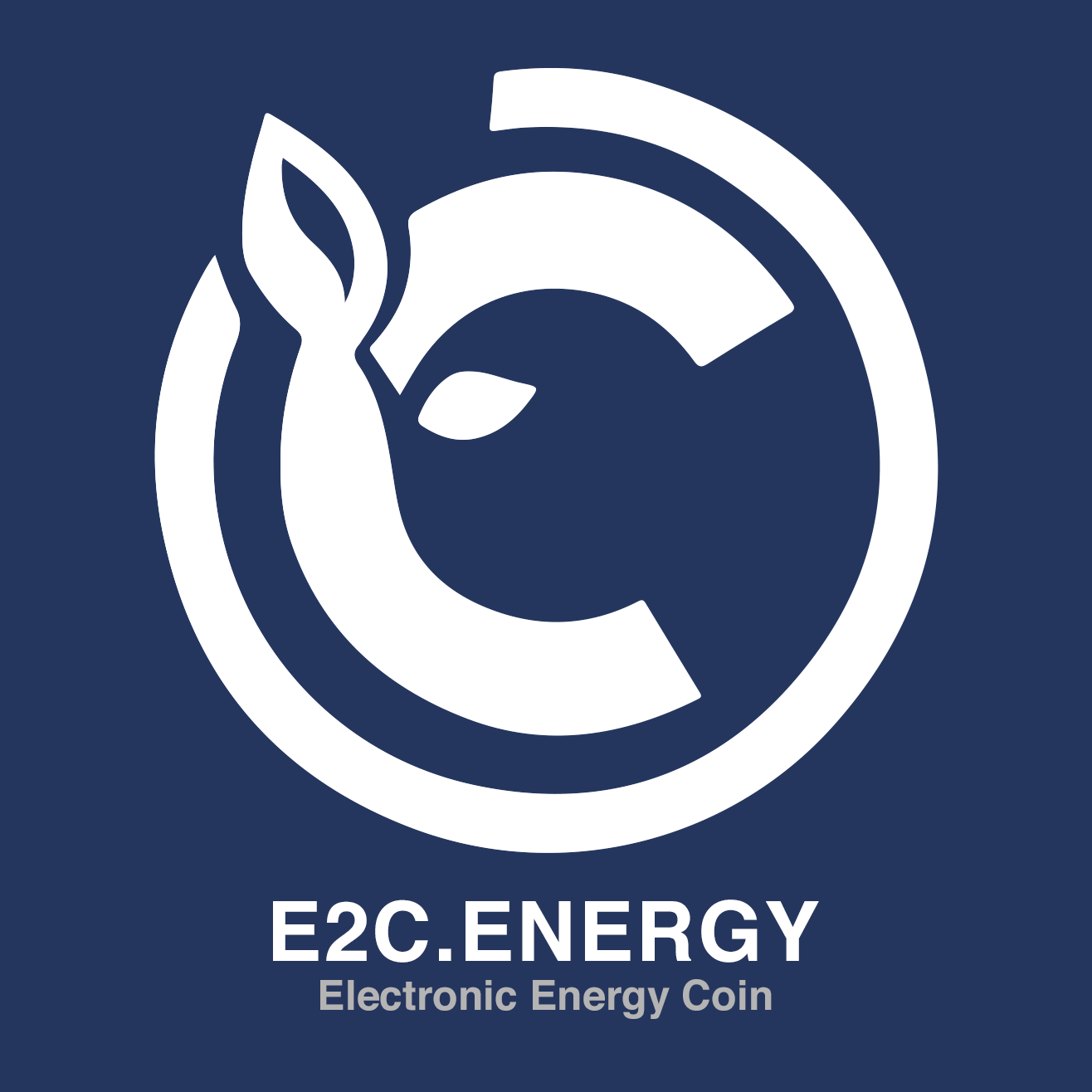 Image result for Renewable Electronic Energy Coin