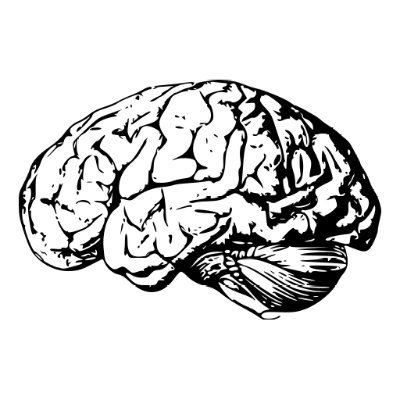 Image result for Namy ai