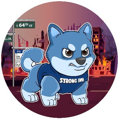 Image result for Strong Inu