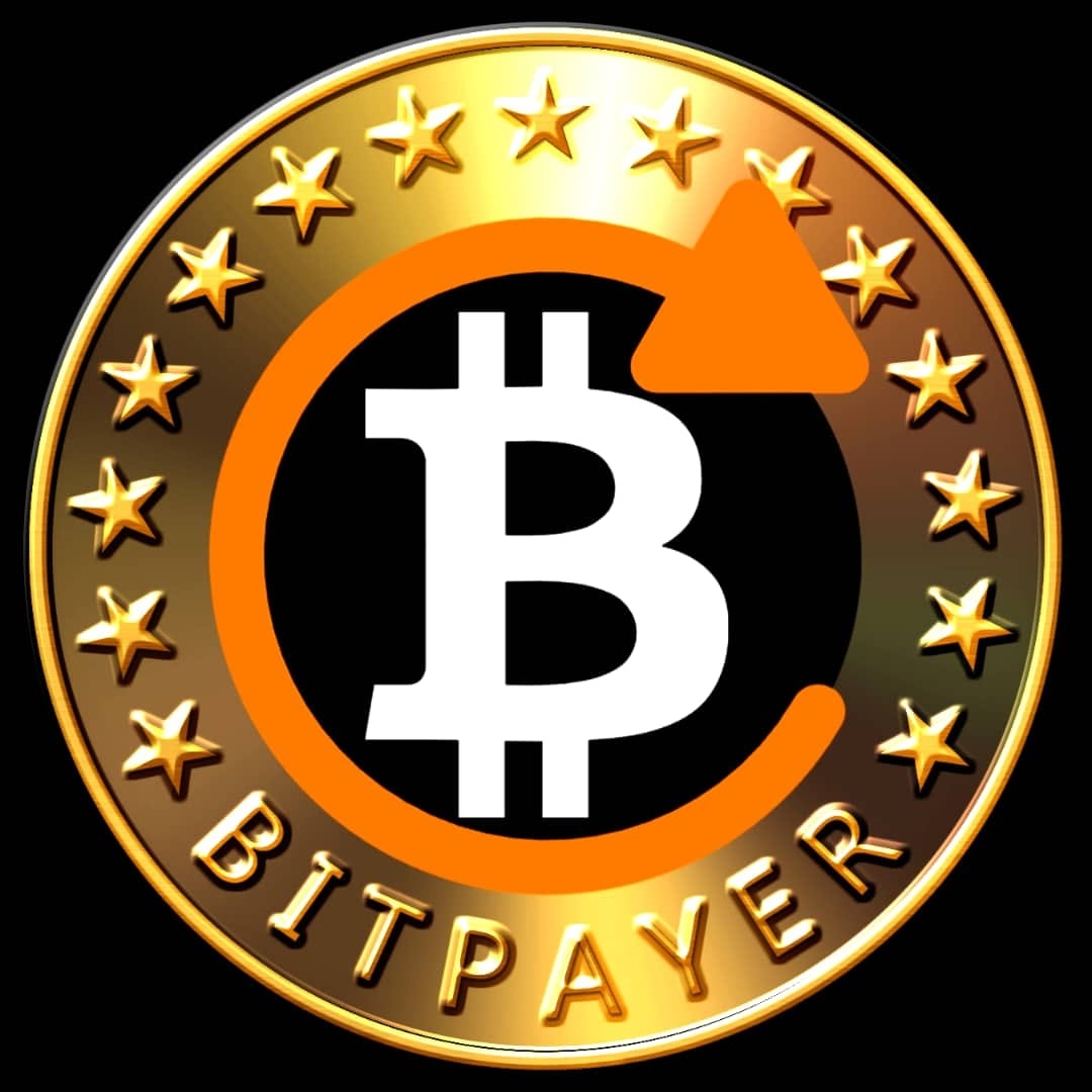 Image result for Bitpayer Token