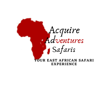 Image result for Acquire Adventures Safaris